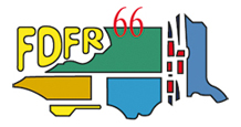 FDFR66