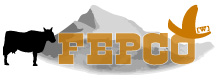 FEPCO